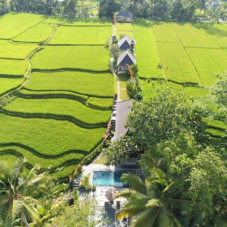 Puri Raya Villa Ubud Kültér fotó