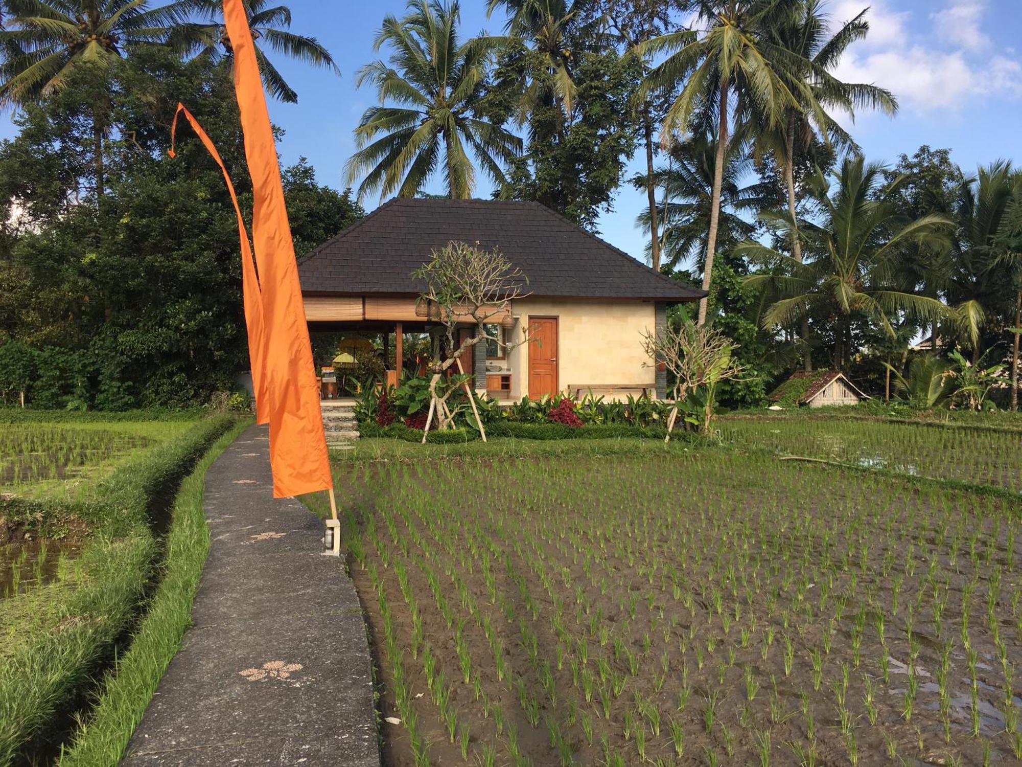 Puri Raya Villa Ubud Kültér fotó