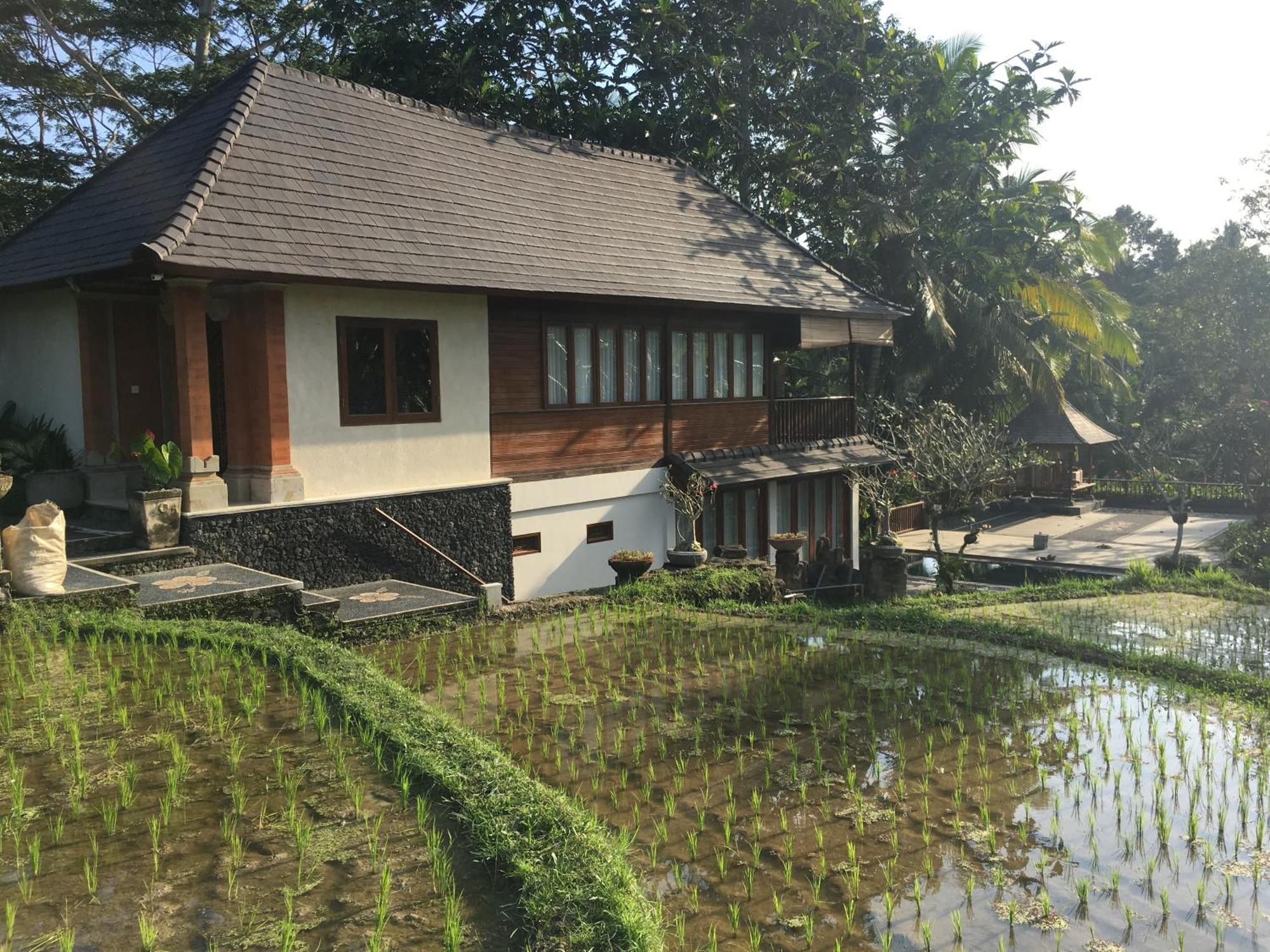 Puri Raya Villa Ubud Kültér fotó