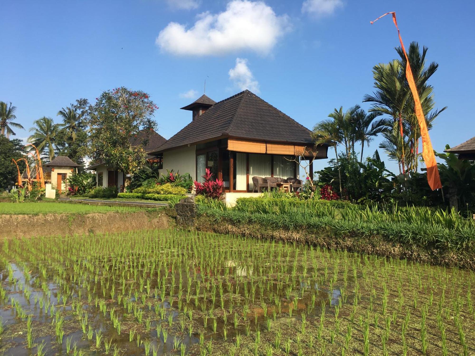 Puri Raya Villa Ubud Kültér fotó