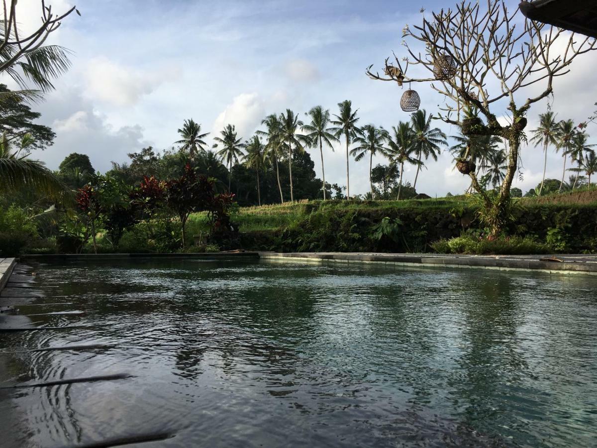 Puri Raya Villa Ubud Kültér fotó