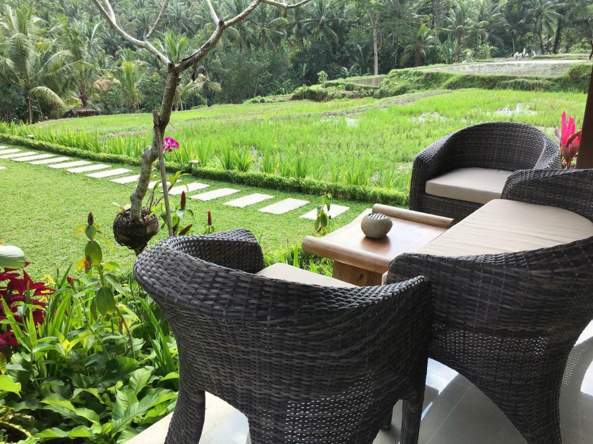 Puri Raya Villa Ubud Kültér fotó