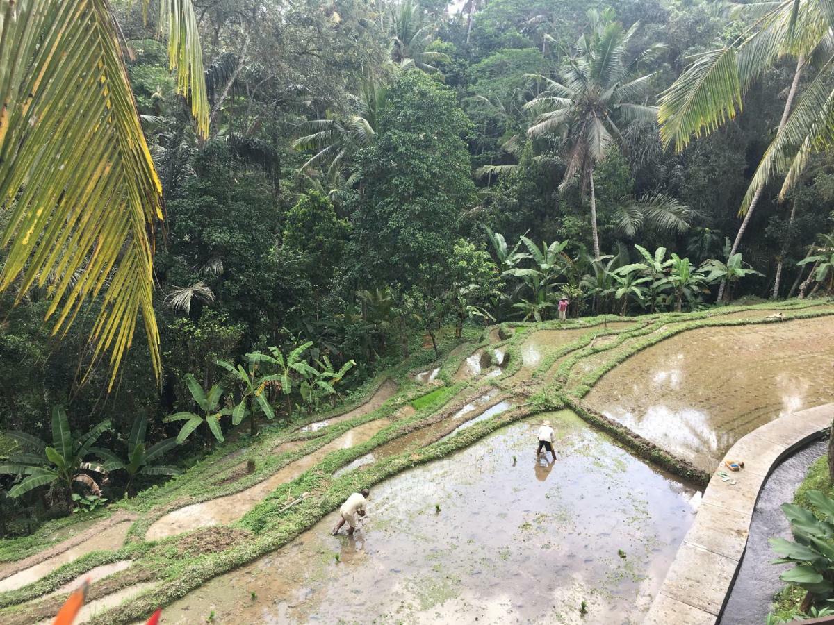 Puri Raya Villa Ubud Kültér fotó