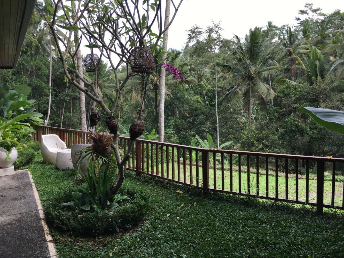 Puri Raya Villa Ubud Kültér fotó