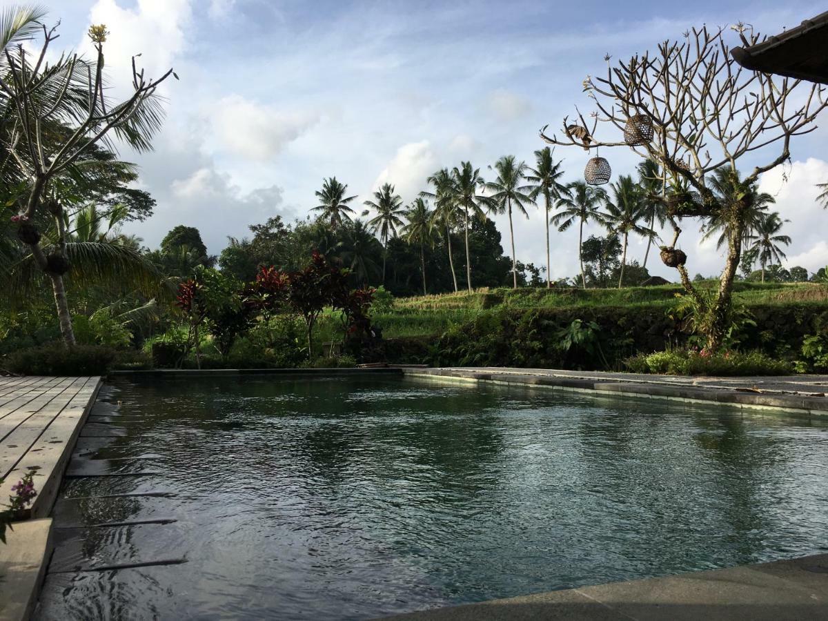 Puri Raya Villa Ubud Kültér fotó