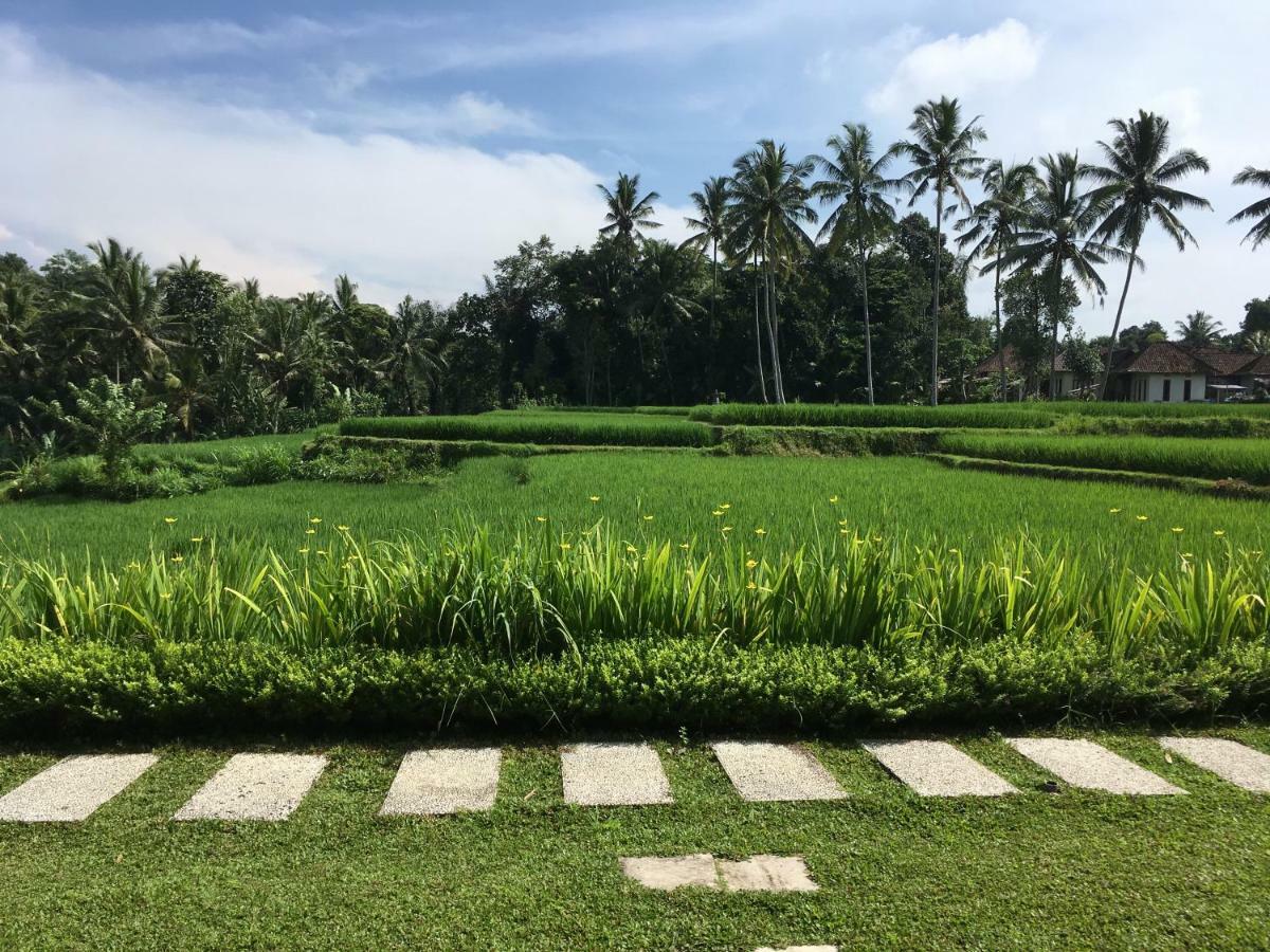 Puri Raya Villa Ubud Kültér fotó