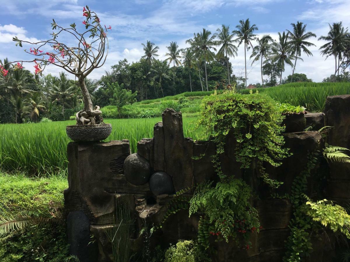 Puri Raya Villa Ubud Kültér fotó