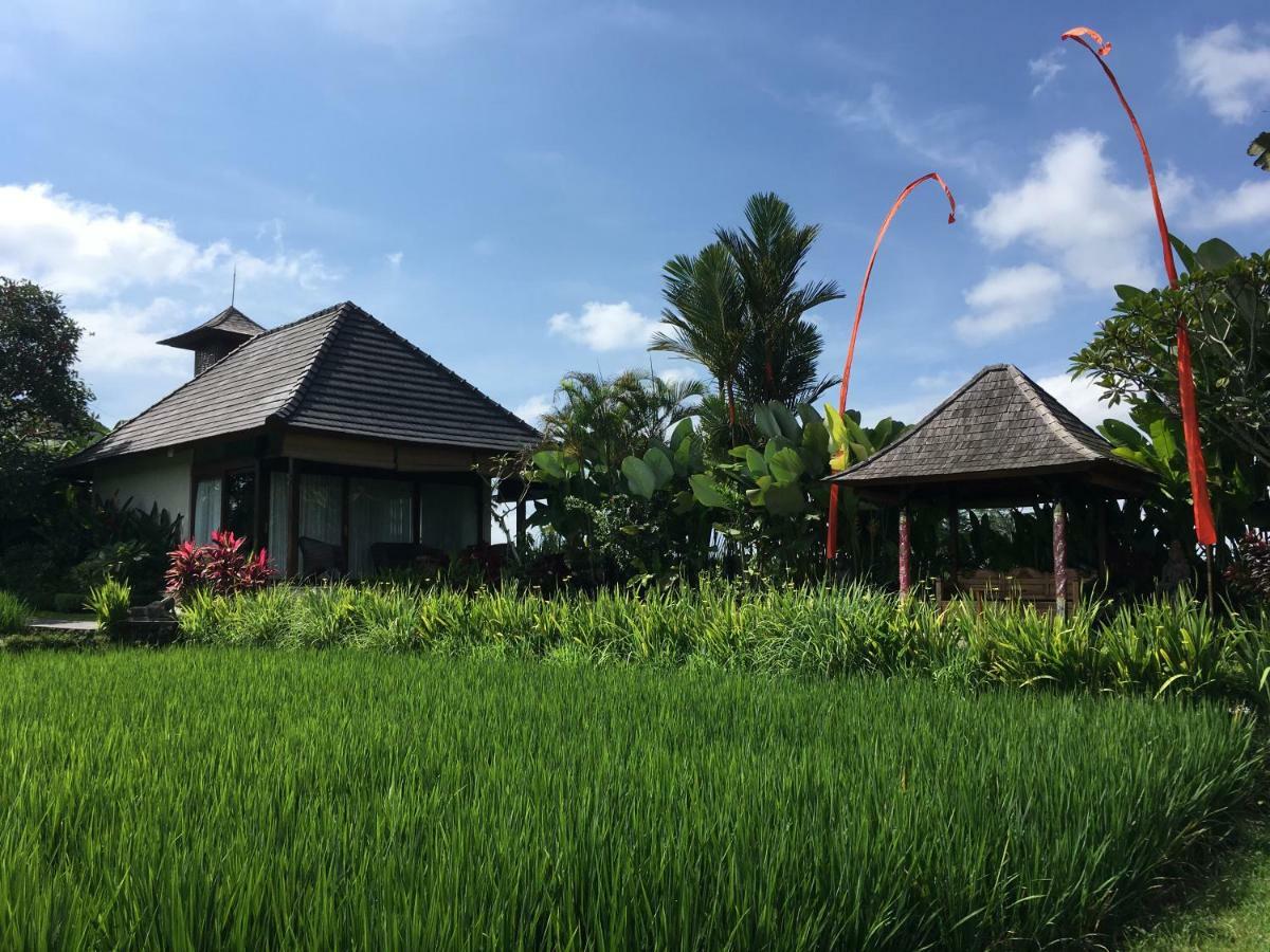 Puri Raya Villa Ubud Kültér fotó