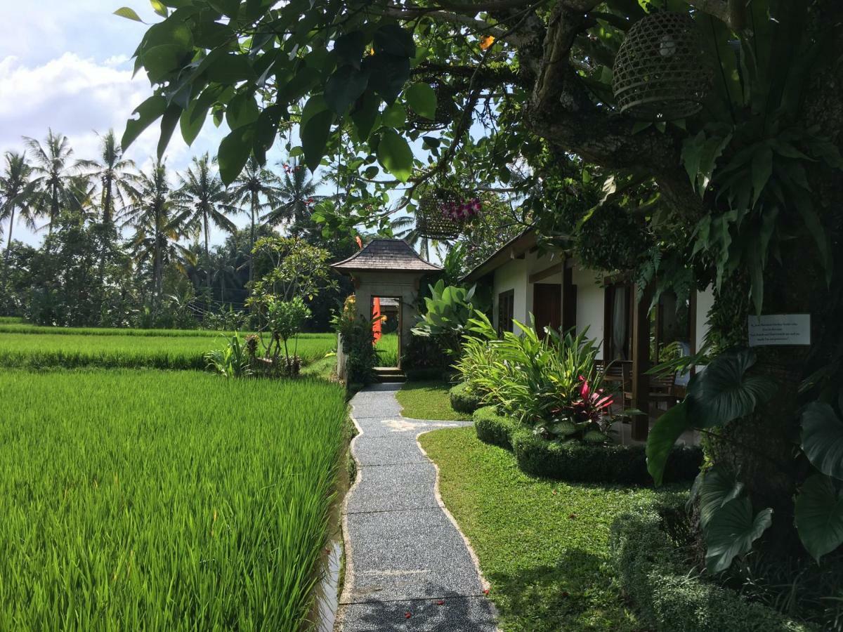 Puri Raya Villa Ubud Kültér fotó