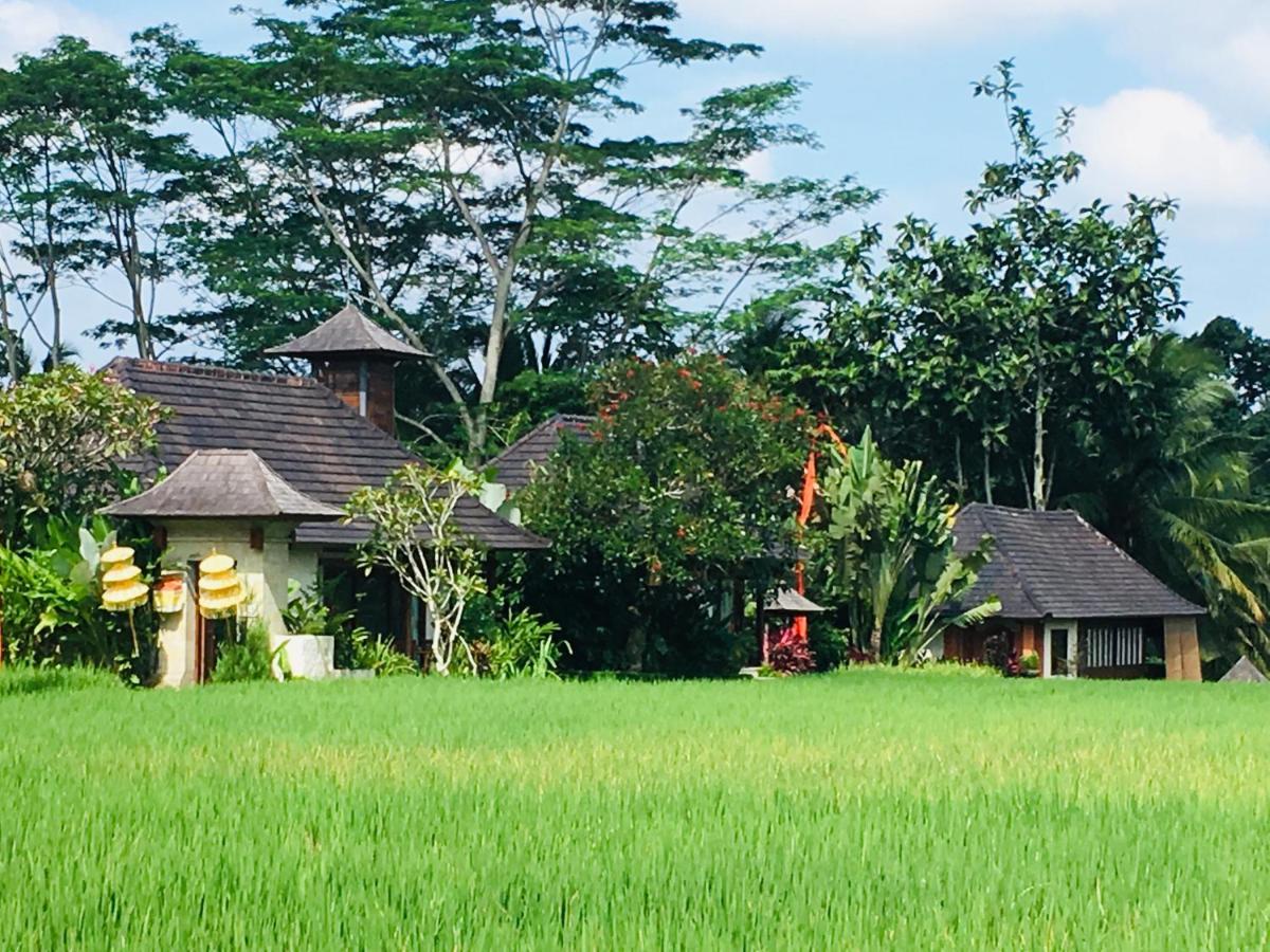 Puri Raya Villa Ubud Kültér fotó