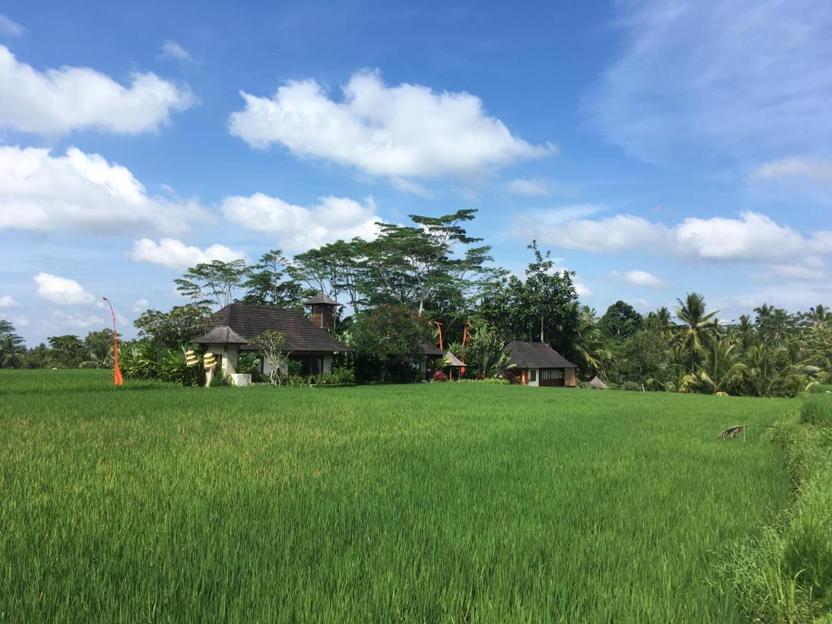 Puri Raya Villa Ubud Kültér fotó