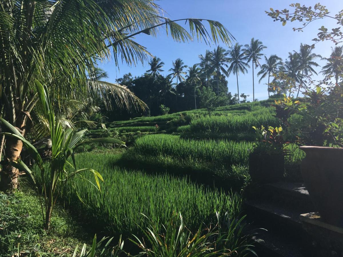 Puri Raya Villa Ubud Kültér fotó