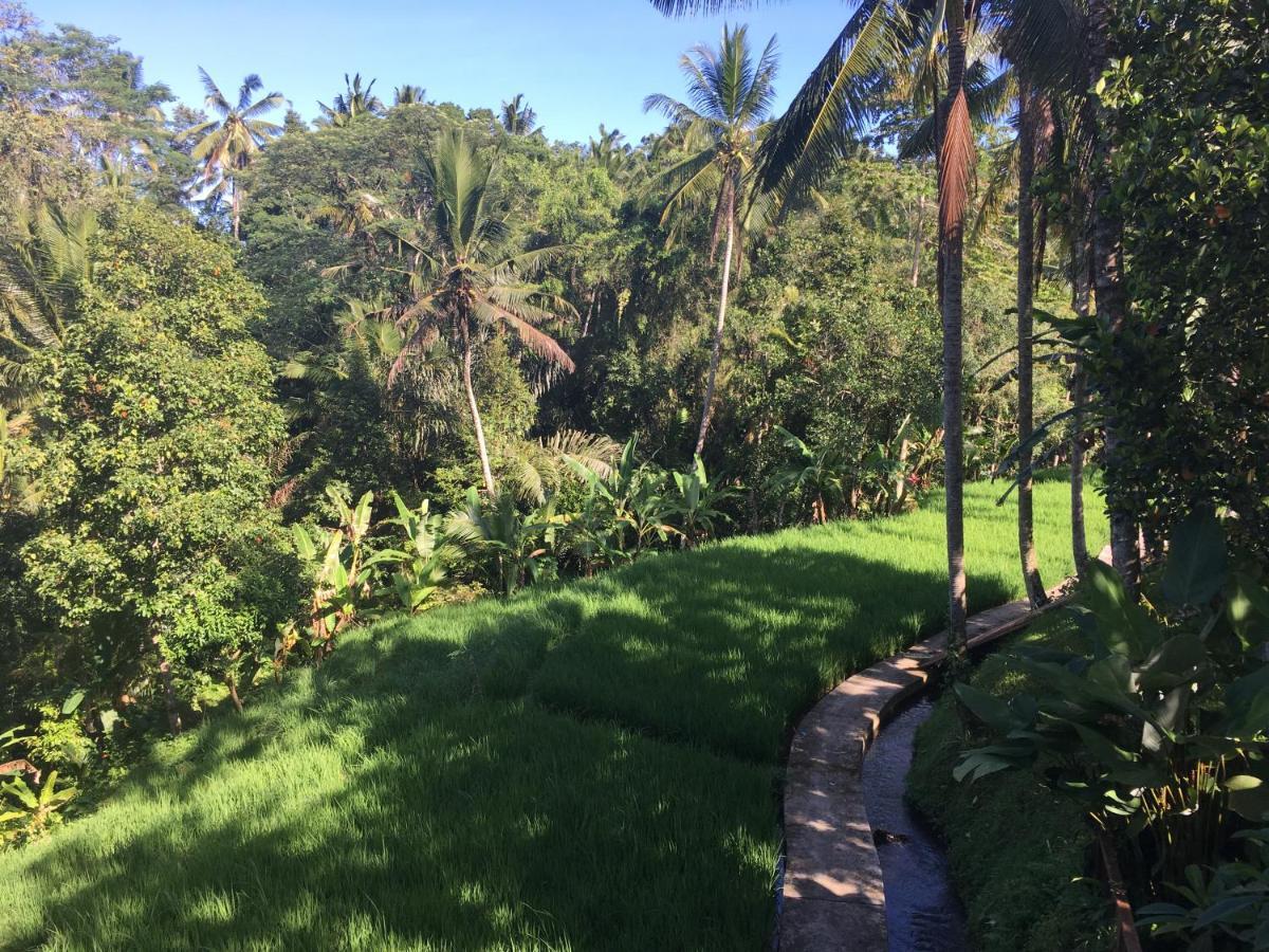 Puri Raya Villa Ubud Kültér fotó