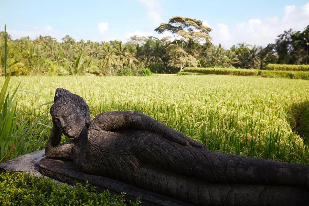 Puri Raya Villa Ubud Kültér fotó