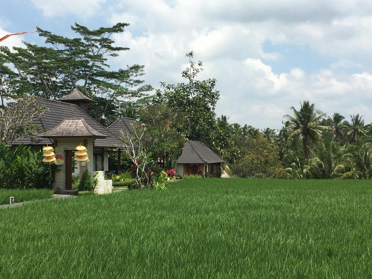 Puri Raya Villa Ubud Kültér fotó