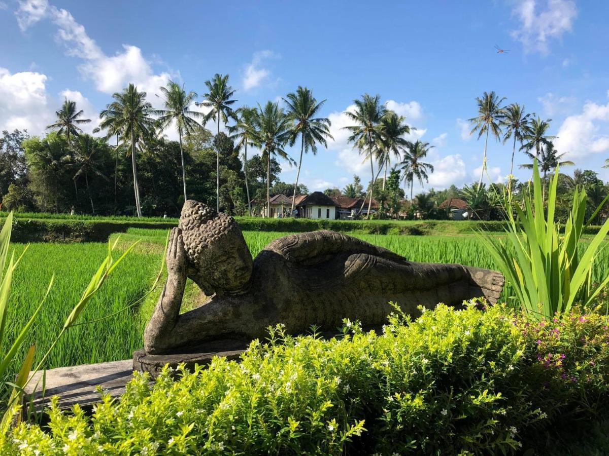 Puri Raya Villa Ubud Kültér fotó