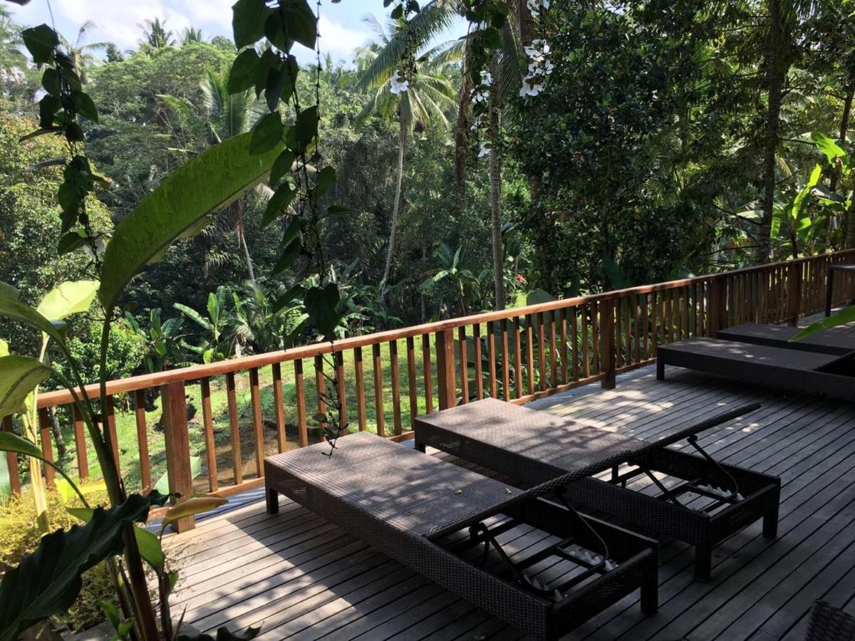 Puri Raya Villa Ubud Kültér fotó